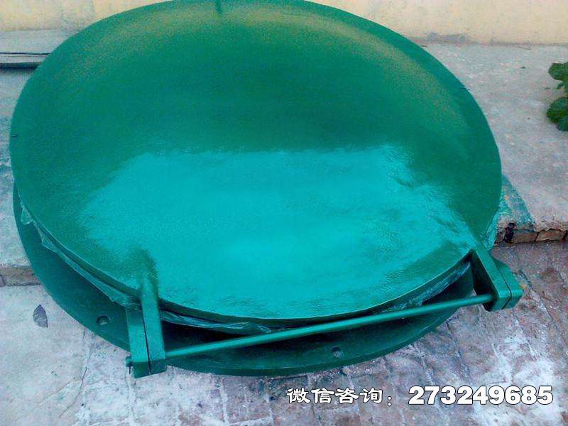 彝良县农玻璃钢防洪自闭阀