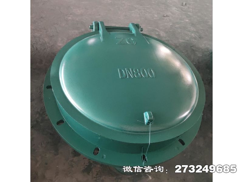 城中污水管玻璃钢拍门
