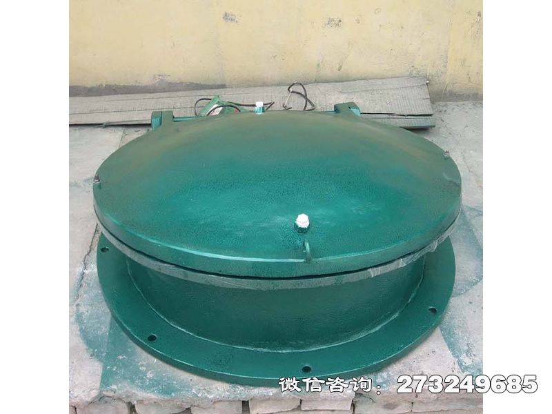 城中玻璃钢止水拍门