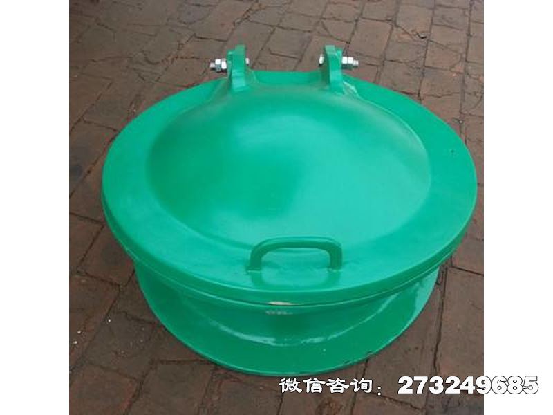 城中玻璃钢污水拍门