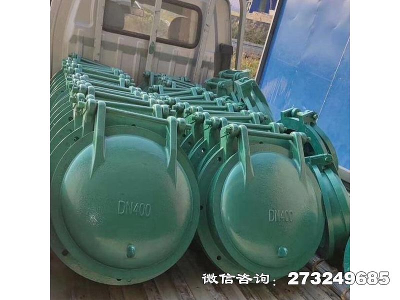 闵行排污口玻璃钢拍门