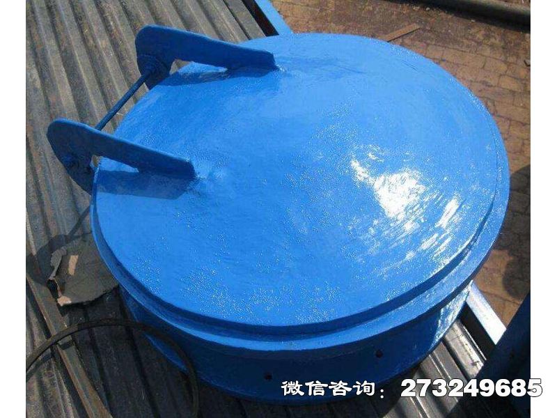闵行复合材料防倒灌拍门