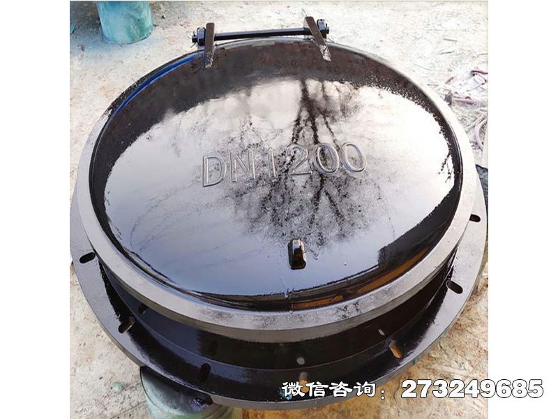 闵行防倒灌玻璃钢拍门