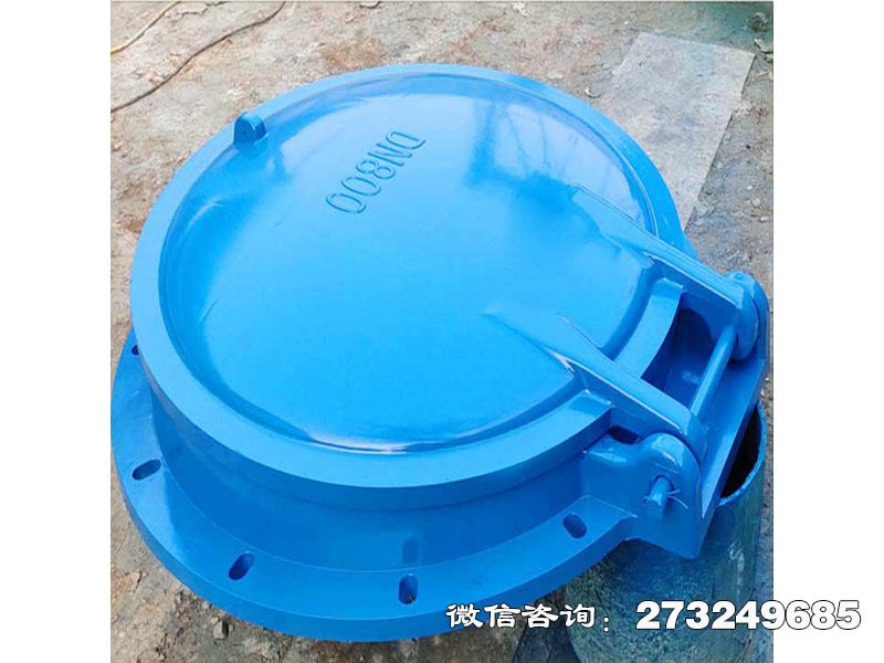 十堰单向水流控制拍门