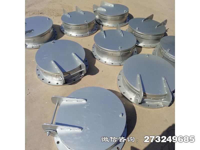岑溪悬挂式不锈钢拍门
