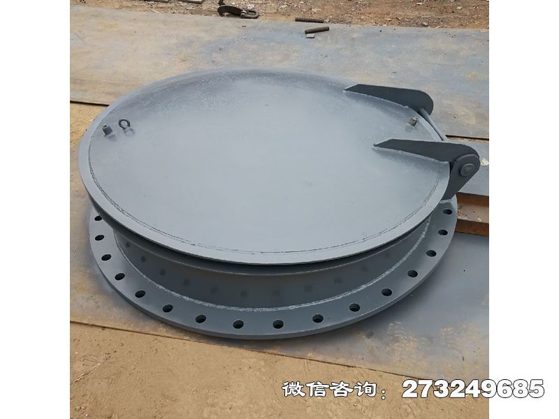 垫江县泵站防逆流不锈钢拍门