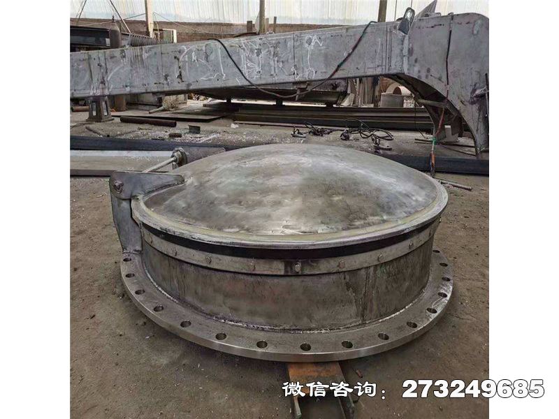 垫江县排涝泵站不锈钢拍门