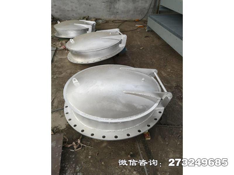 垫江县不锈钢管道拍门