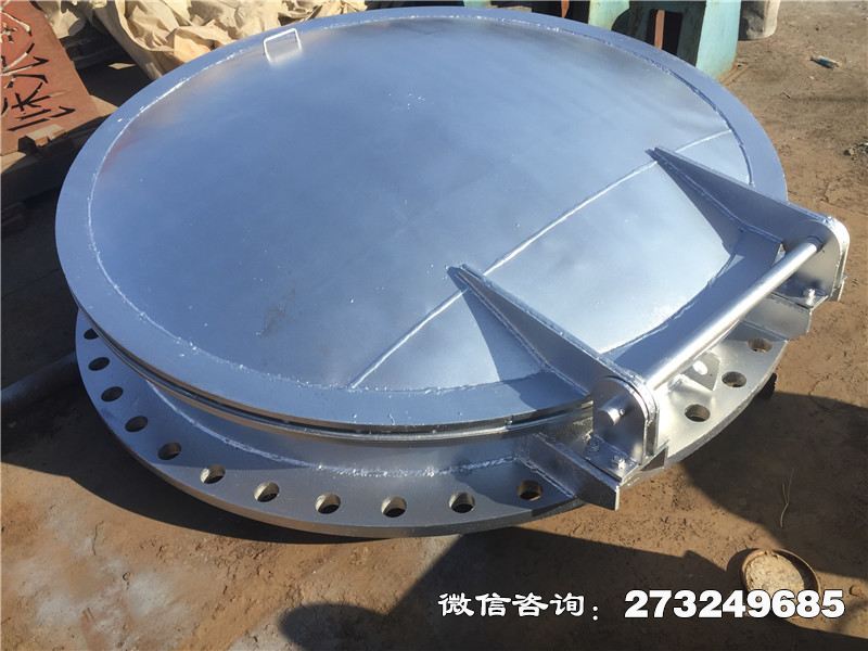 博白县不锈钢止回拍门