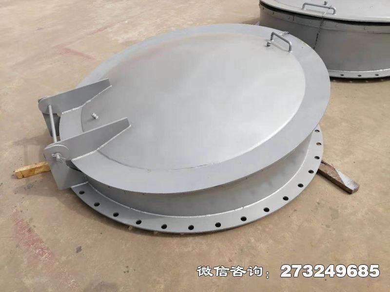 岑溪不锈钢逆止拍门