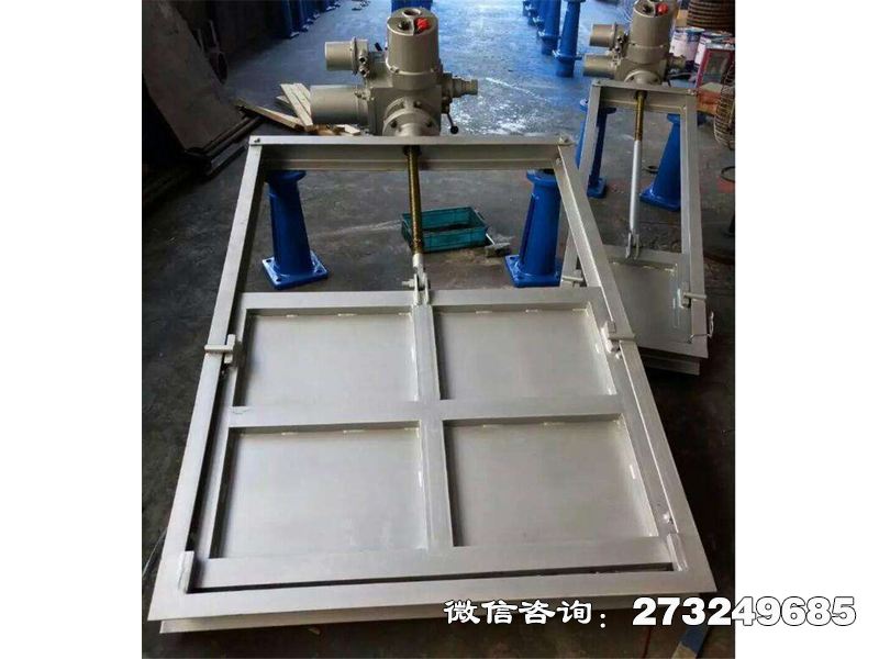 蓝田县316L不锈钢机闸一体闸门