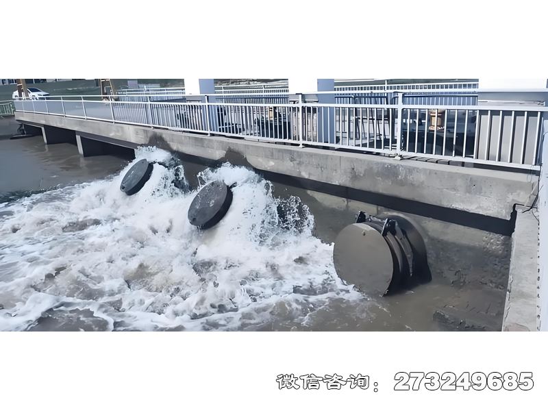德保县内河潮门拍门