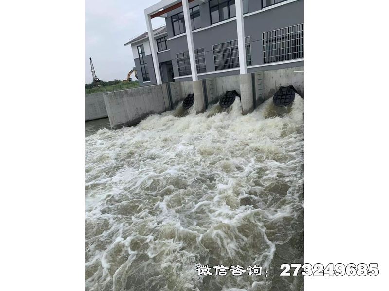 德保县防潮堤潮门拍门