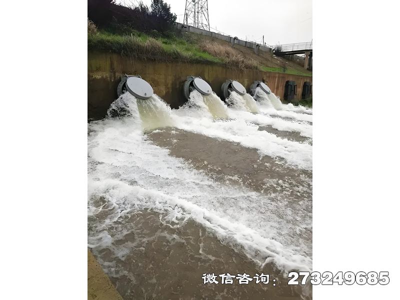 德保县排水管网末端潮门拍门