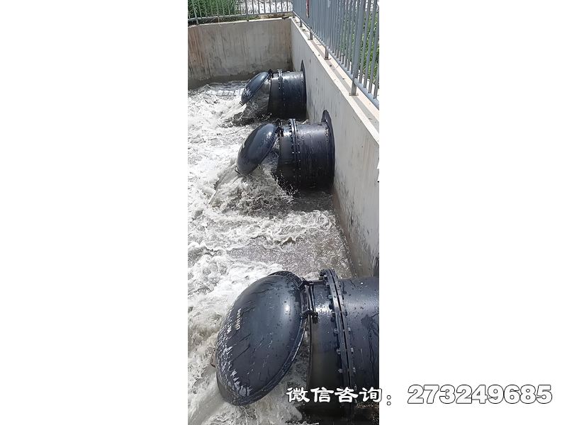 德保县污水处理厂潮门拍门