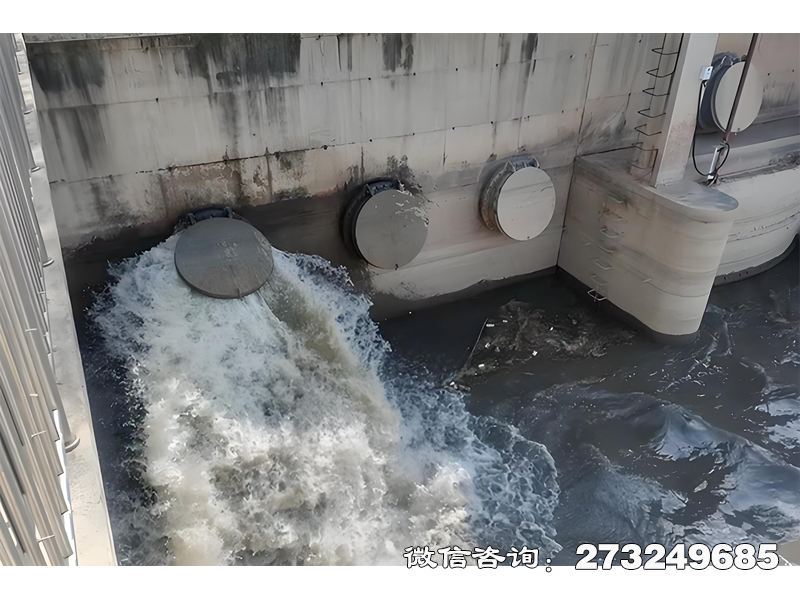 九江隧道排水口潮门拍门