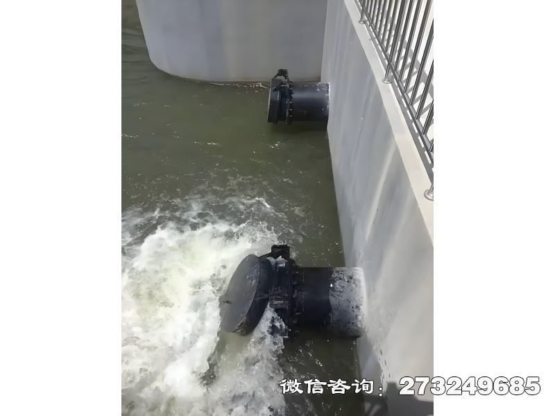 钦南河道潮门拍门