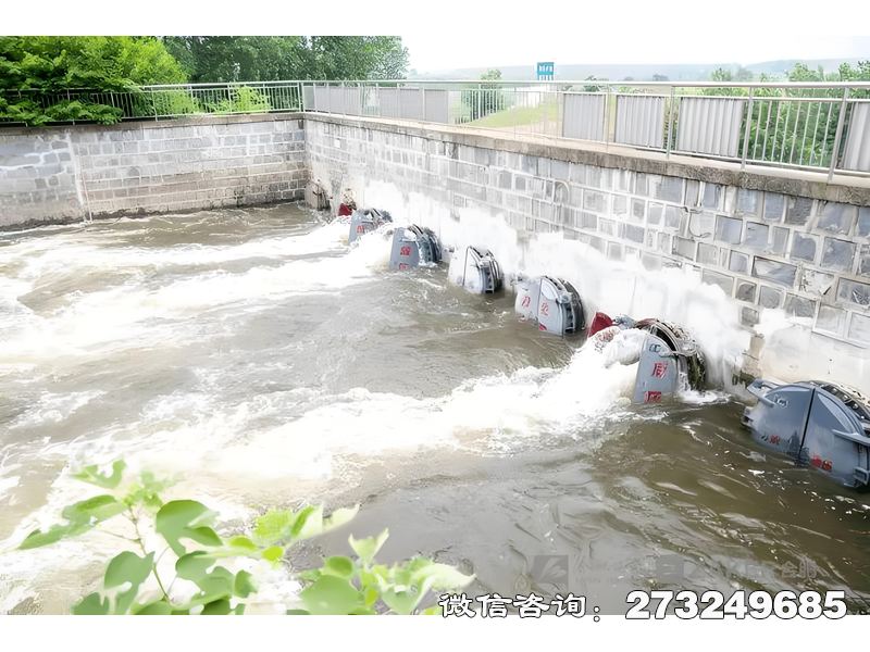 九江河道防洪堤排水潮门拍门