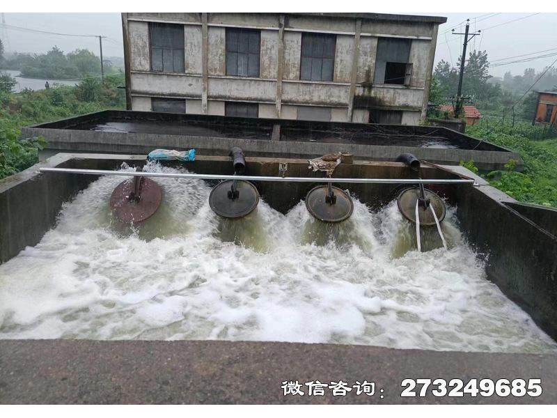 九江行洪区退水口潮门拍门