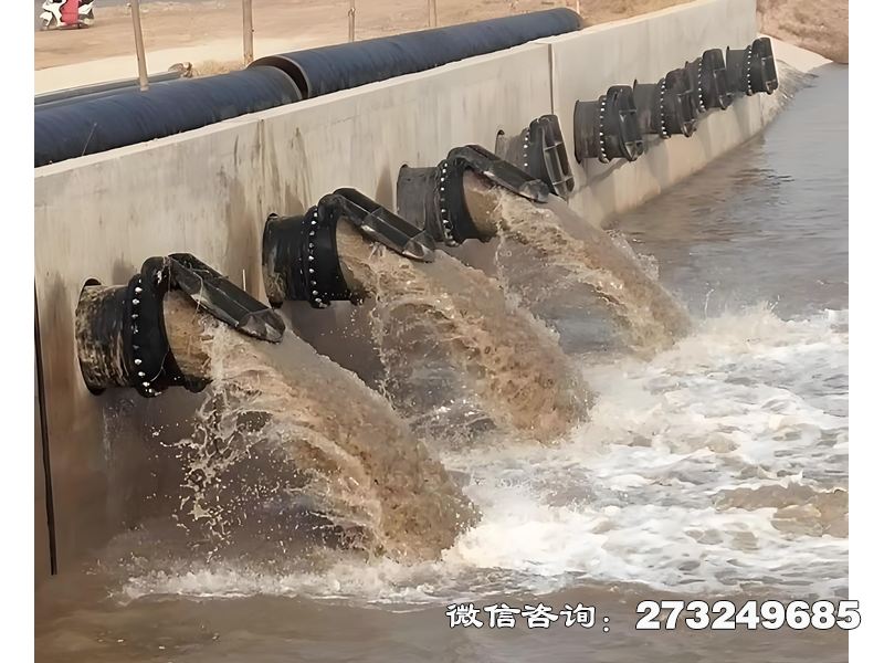 九江蓄滞洪区分洪闸潮门拍门
