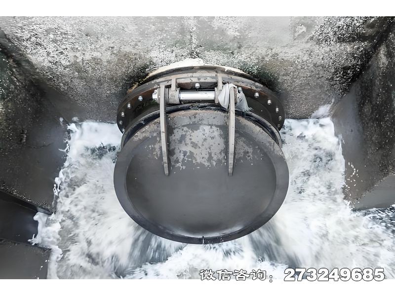 德化县河道排水潮门拍门