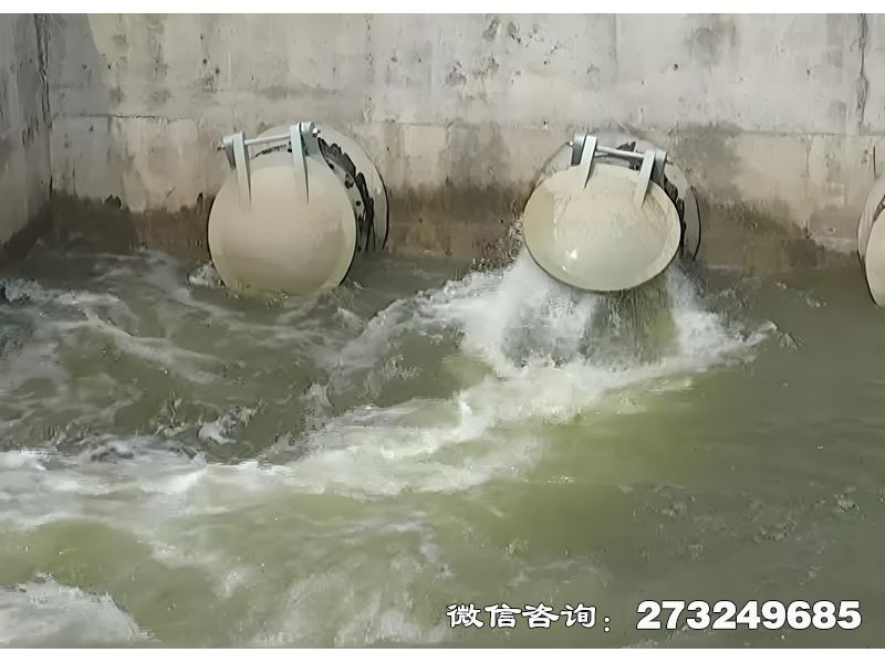 德化县河道生态护岸排水潮门拍门