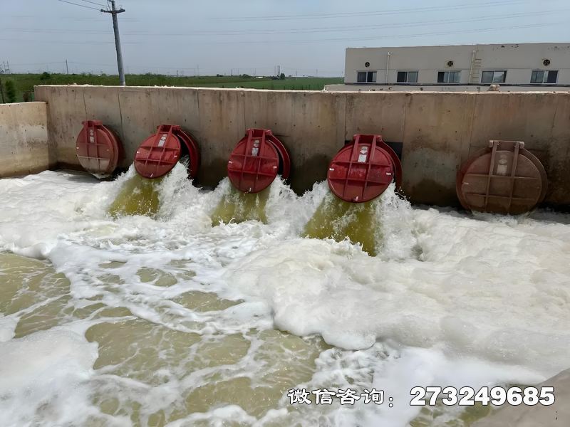 玉泉河口整治工程潮门拍门