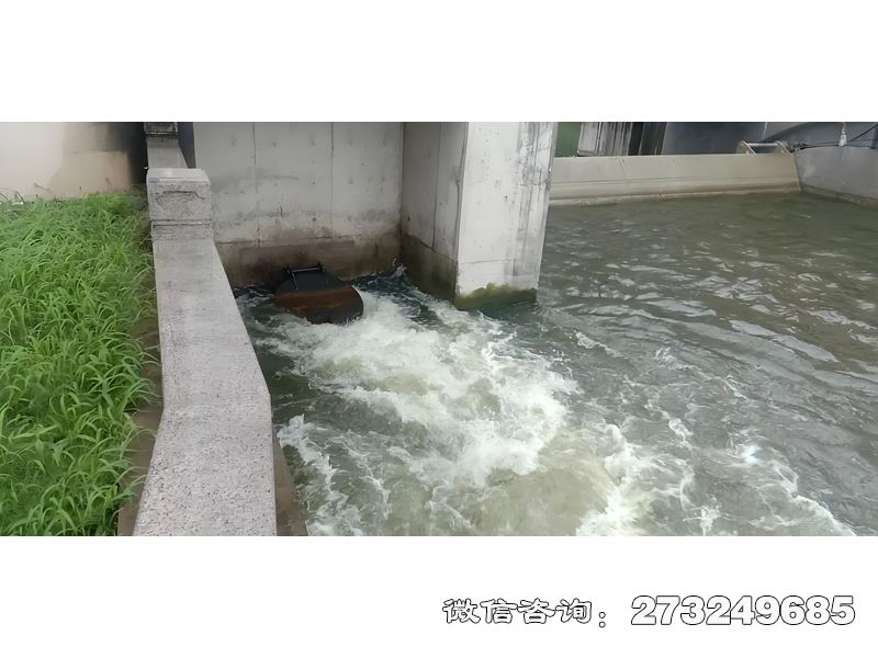 玉泉海塘防潮闸潮门拍门
