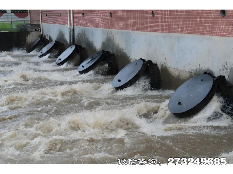 德江县灌溉渠首水闸潮门拍门