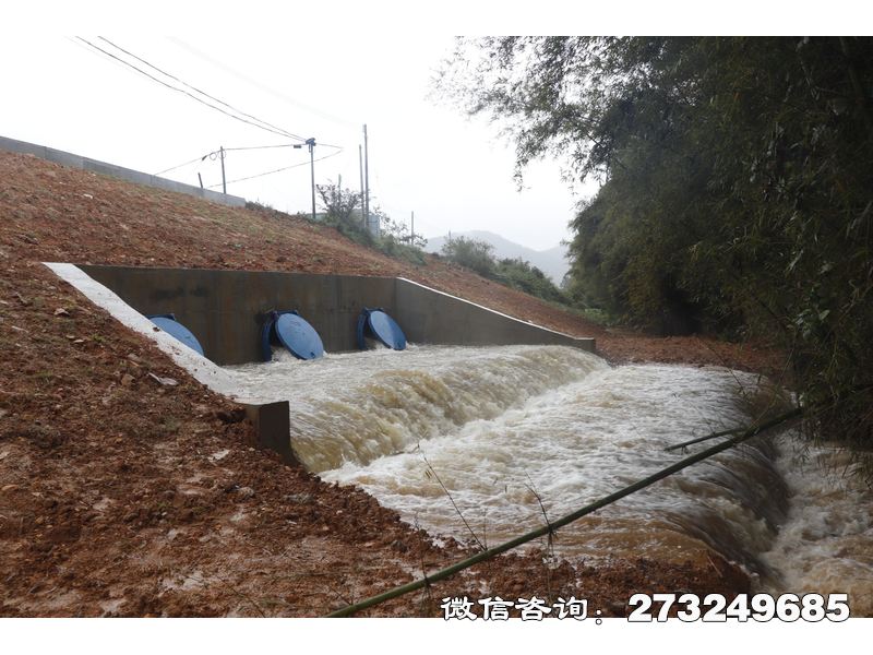 德江县堤坝防潮拍门