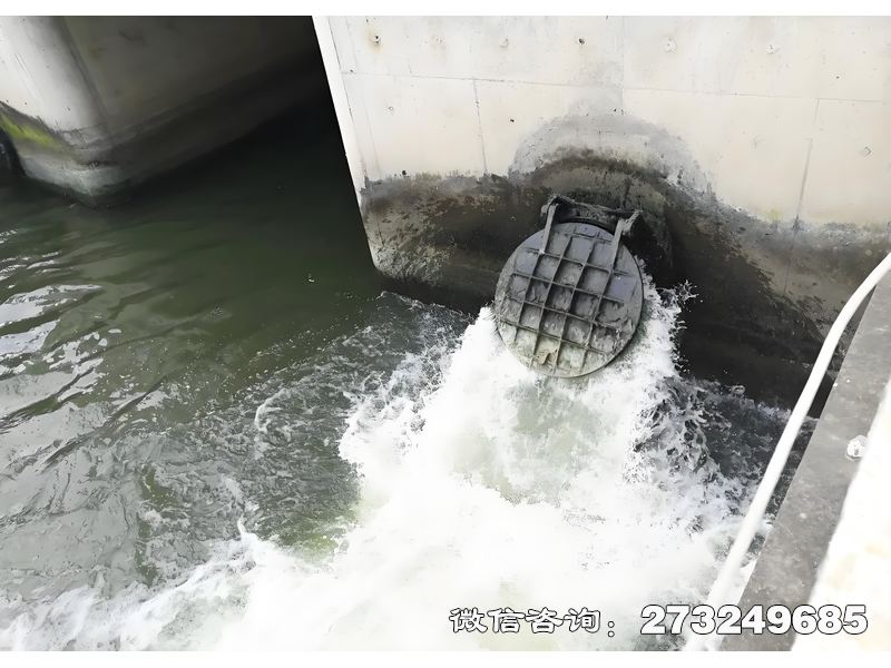 德江县海洋防潮堤拍门