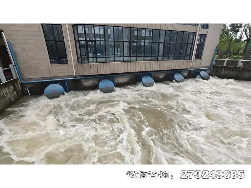 德江县海防工程拍门