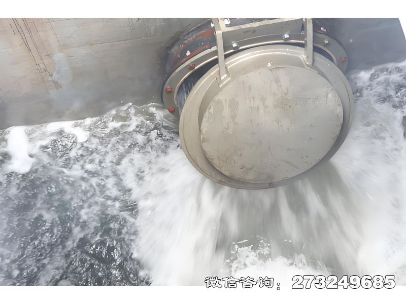 灵山县海堤排水拍门