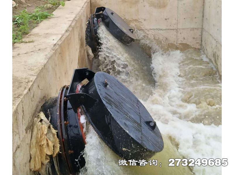 邗江海水防倒灌拍门