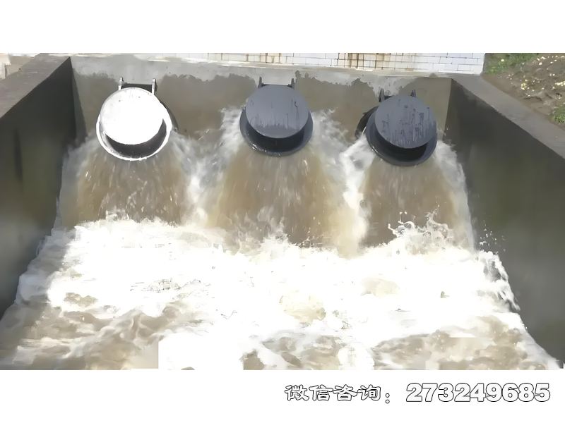 邗江河口防潮拍门