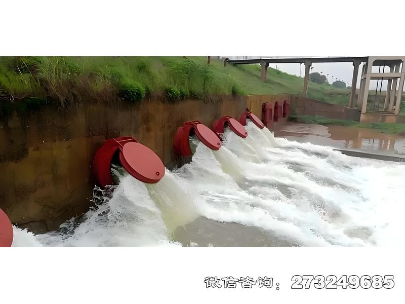 邗江涵管排水拍门