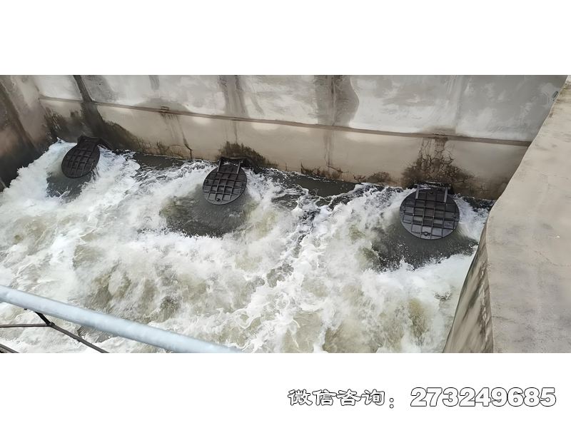 邗江海水养殖排水拍门