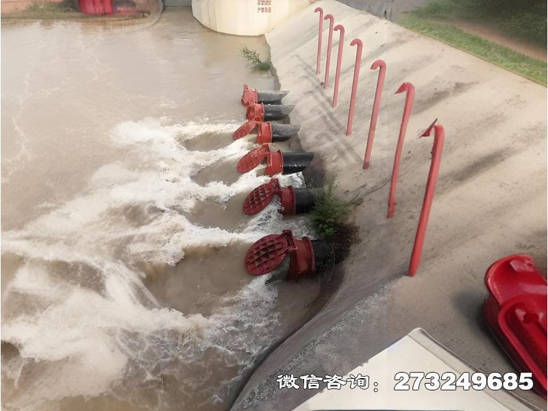 邗江海水生态防潮拍门