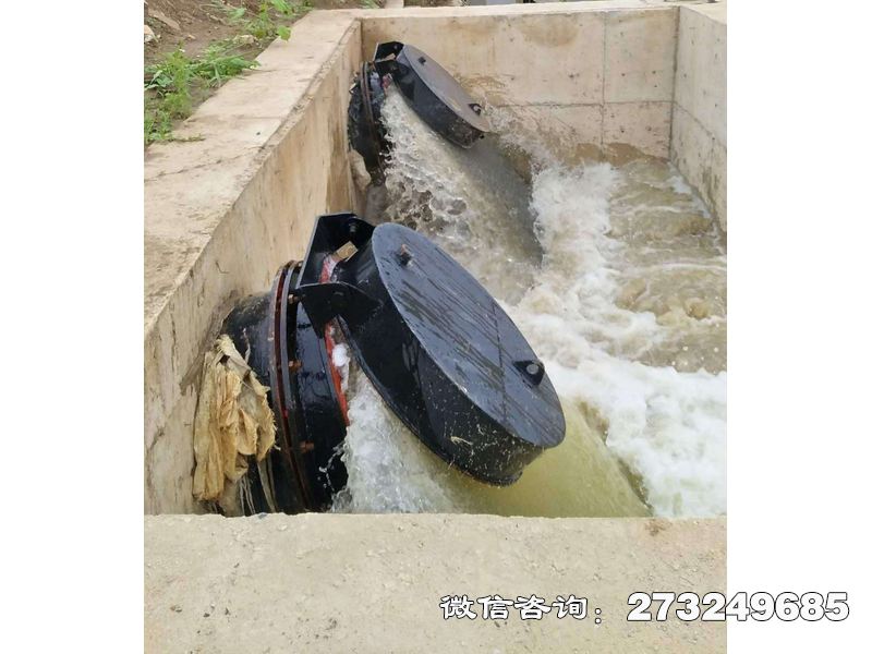 德保县水库潮门拍门