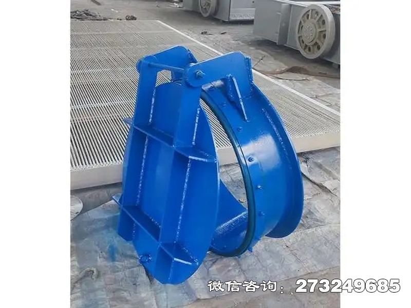 复兴水库钢制防倒灌拍门