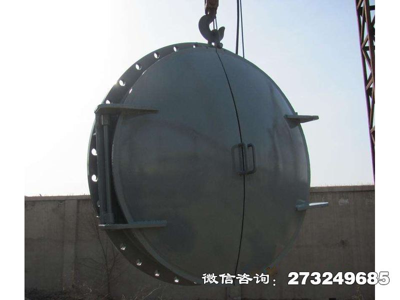 大武口农田灌溉钢制拍门