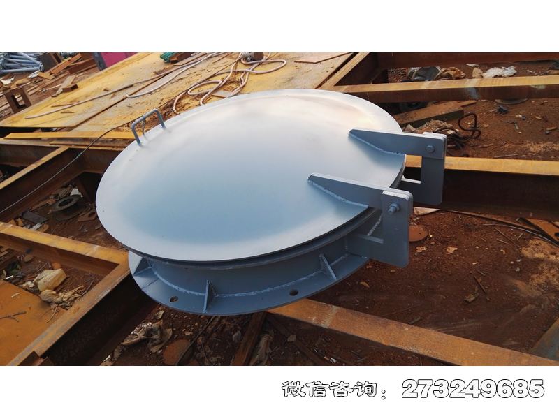 大武口生态补水钢制拍门