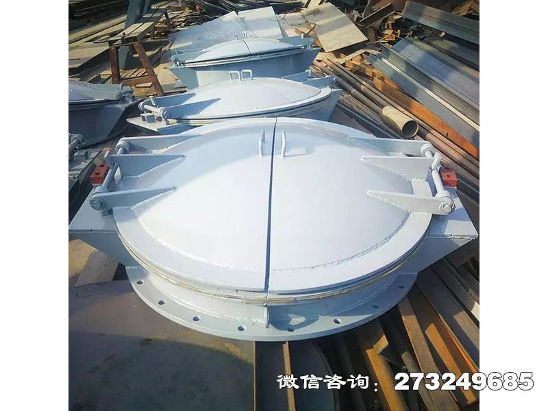 临西水务局钢制防洪拍门