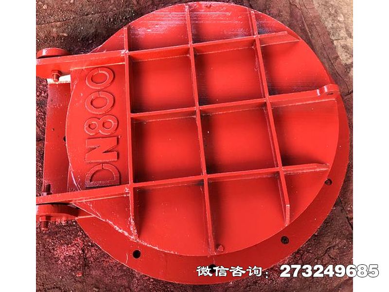 靖江止回钢制管道拍门