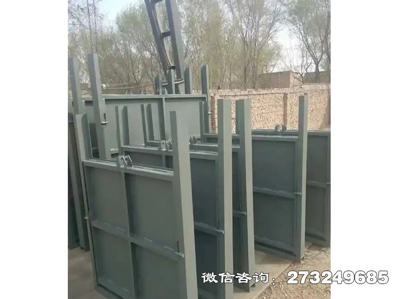 巴中生态补水钢制闸门
