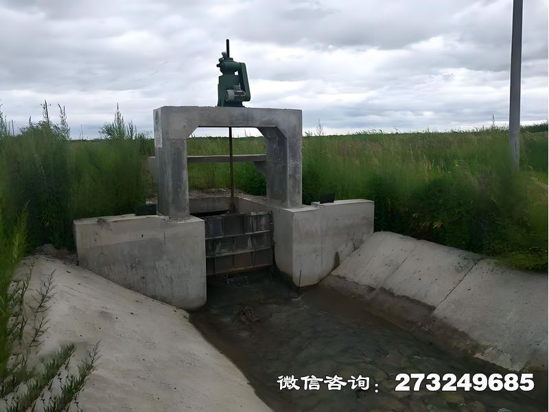 武胜县分水沟渠闸
