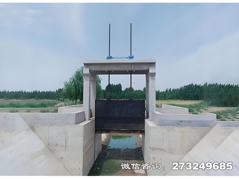 武胜县防洪河滩闸
