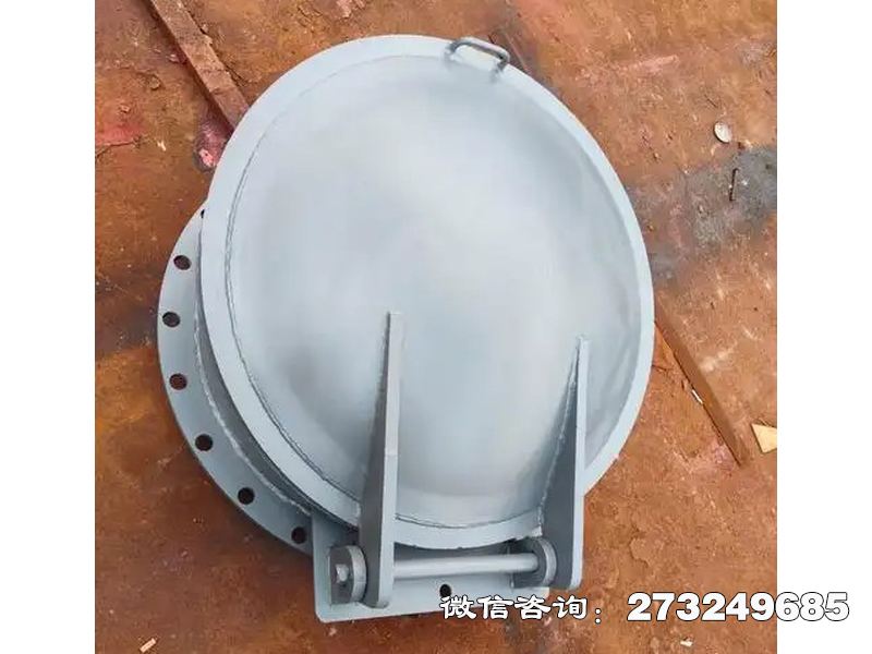 贾汪铸铁圆型防逆流拍门