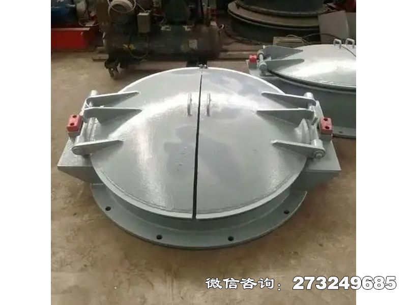 雁江铸铁圆型导流拍门