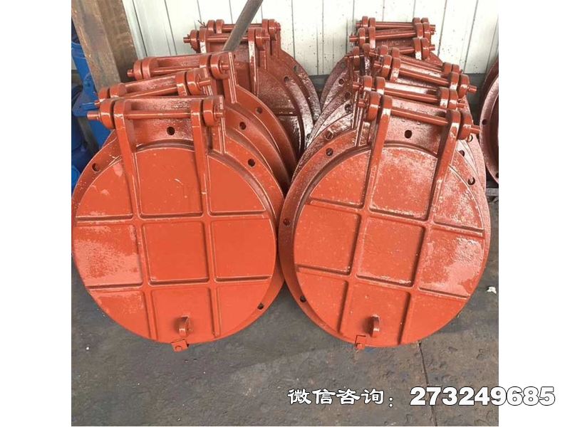 贡觉县铸铁圆形抗冲击拍门